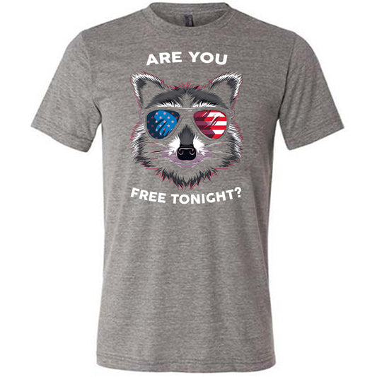 grey Are You Free Tonight Raccoon Unisex Shirt